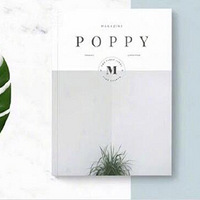 ����ֻ��ˢ��ǽ�����㼸��������ɫ������ˢ