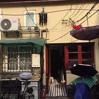 Ϻֱͣ5OŴŲ£λСסʮ