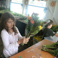 ʻũӵ8000OһĿڻͯ