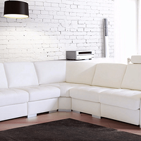 TRADING SOFASҾ߼ִУݻƷ