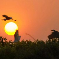 ɶһڣס30Ķɭ֣400Oլ