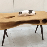 ˲èèɳۼ10ȴ45˵ޣԭ...