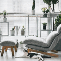 14̨ƣ֪ҼҰװ˷˺ü