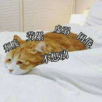 װ޹˾39꣬ϰȻԴѲ칤