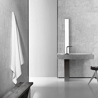 SALVATORIװ壬߸ʱеһ-й