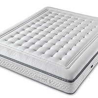 SIMMONSϯ˼ôĴʼ-й