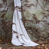 ���õ�����ֻ����һ�㴰����