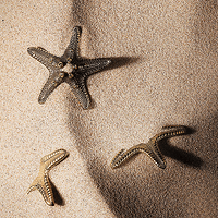 PULLCAST��Ƹб�����Ű�����-�����й�