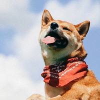 һ������ס6000ƽ�׵ķ�������ǡ��������Ӧ���е�����