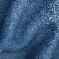 AUSONIAƤ ߶˵Ʒ -֮