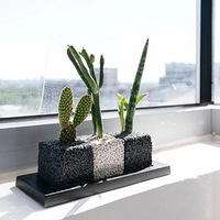 ������ζ�������ڵ�