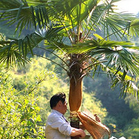 Ӣ׸߶ͼҾ߸йصԭϵķ