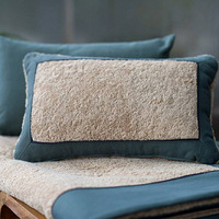 �¹�INTERLUBKE���Ҵ��ϱ�����ͼ����