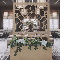 LASER SERVICES ΪӪҵķΧ