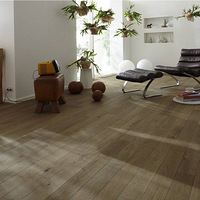 ذMODONI 콡õذ - ֮