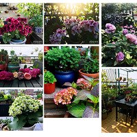 ɹɹ�ҵļң�һ�ż򵥵������ͼ����100Ԫ���п�