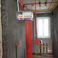 ���������88ƽ����ŷ��