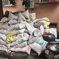 ��2020�ռǴ�����������ԷС���͸���