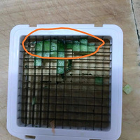 15ڷˣ