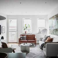 �Ǽ�ʶ��ŷ�翪��ʽ����+˫��������