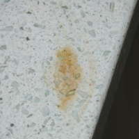 ѡʯӢʯ̨棬ֱѧЩѡ̨治ó