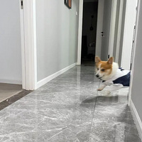 ��ε�������»���89ƽ����һ���ոպã�