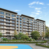 Ա˰꣬һǱװ޹˾......