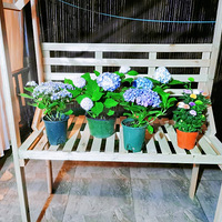 �����������Լ���һ������