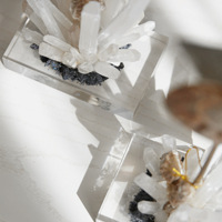 ˳�ƶ���Born with the trend ������.����