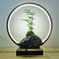 쾰֪ʶ
