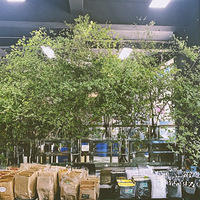 ֲ����Hermes