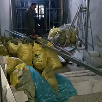 ���ǻ�ҡ�������ʢ�е�����ҿ�����ʵ����װ��