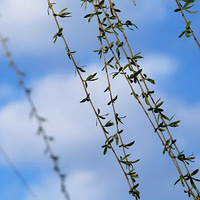 Լ��VRF����ȫ���ǻ����