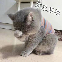 װ���������������������ӷ���