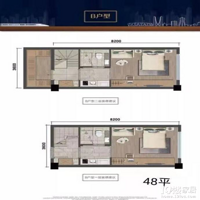 50ƽ��loft˫Կ�׷���װ��-�깤