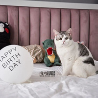 ��ʺ�ٵļң�װ��Ҫע��ʲô