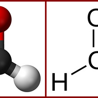 ��ҵļ�ȩ����ôȥ���ģ�