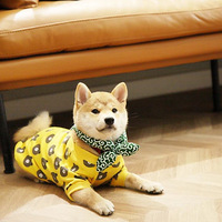 47mݼ죬С;Ҹ͹
