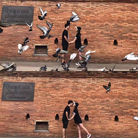 2022յ98Сµɫϵ¾ӣɫϷ