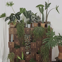 120Ԫİٱ񣬾Ȼ˼һǽ