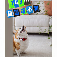 143OůСѣױ̨桰