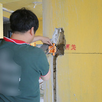 װ��80��˳���깤���պ���ݲ��Ͻ���˳��