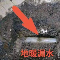 װůգЩ֪ʶ֪𣿴һ𿴿