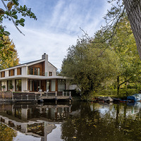 �ɳڸе������ľɫ֮��