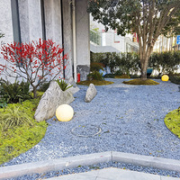 ����������������ͥԺ�깤��Ƭ����