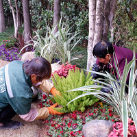 ��һ���л�����