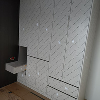 ��ɫ��Ч��