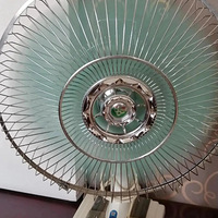 ɹõƷȻ1977õڶû