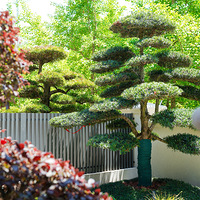 䣬Ʒƾ棬ûбȼҸõĵط