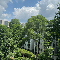 ΪʲôǮ˿ʼ͵͵չݷ˵ʵ飬һȻ